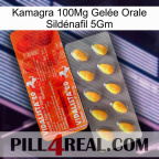 Kamagra 100Mg Gelée Orale Sildénafil 5Gm new01